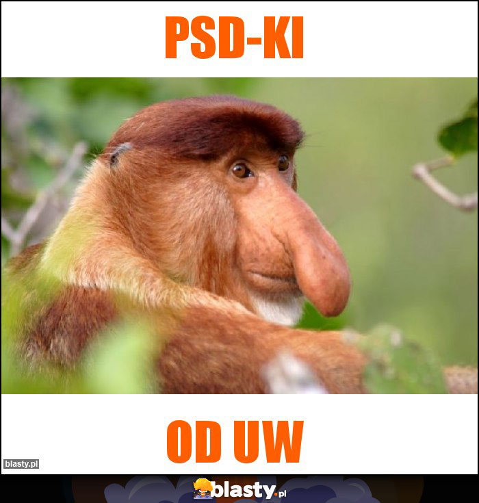 PSD-ki