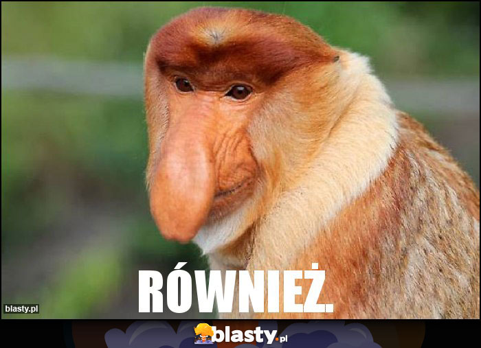 Również.