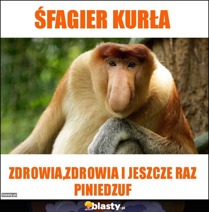 Śfagier kurła