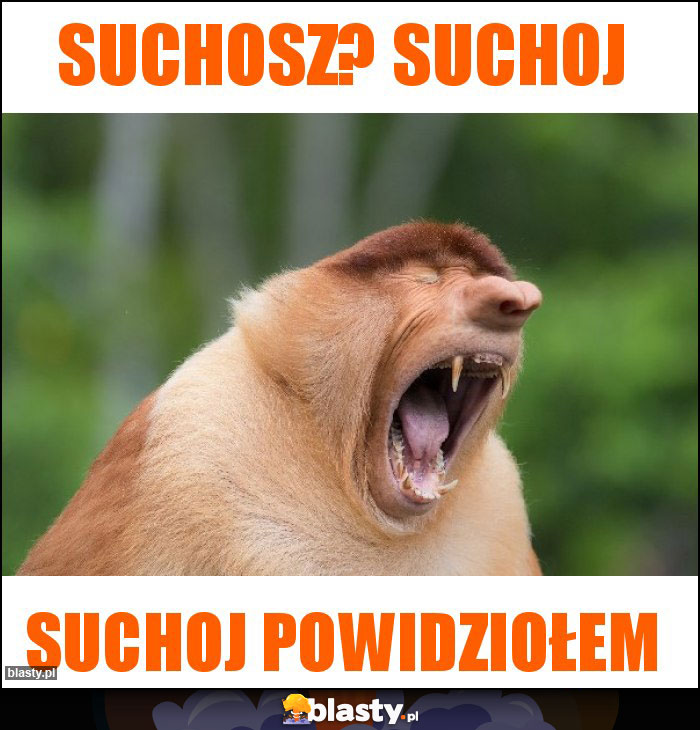 SUchosz? Suchoj