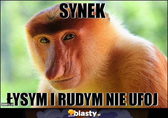 synek