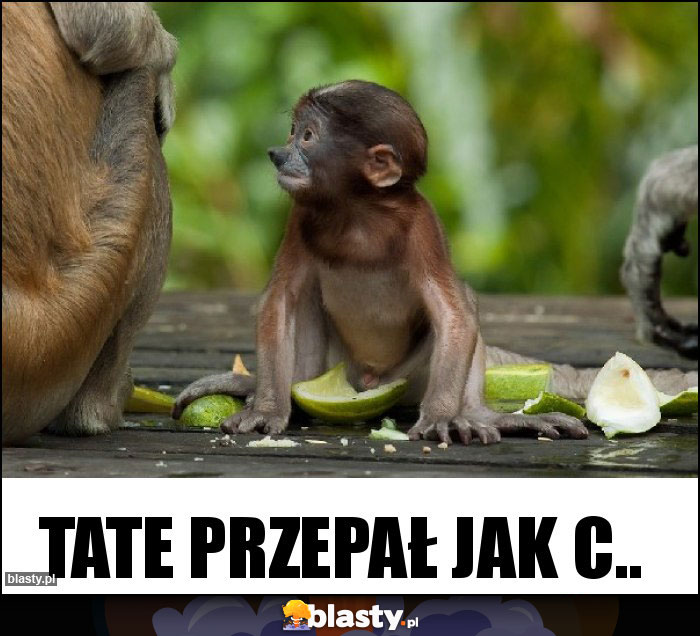 Tate przepał jak c..