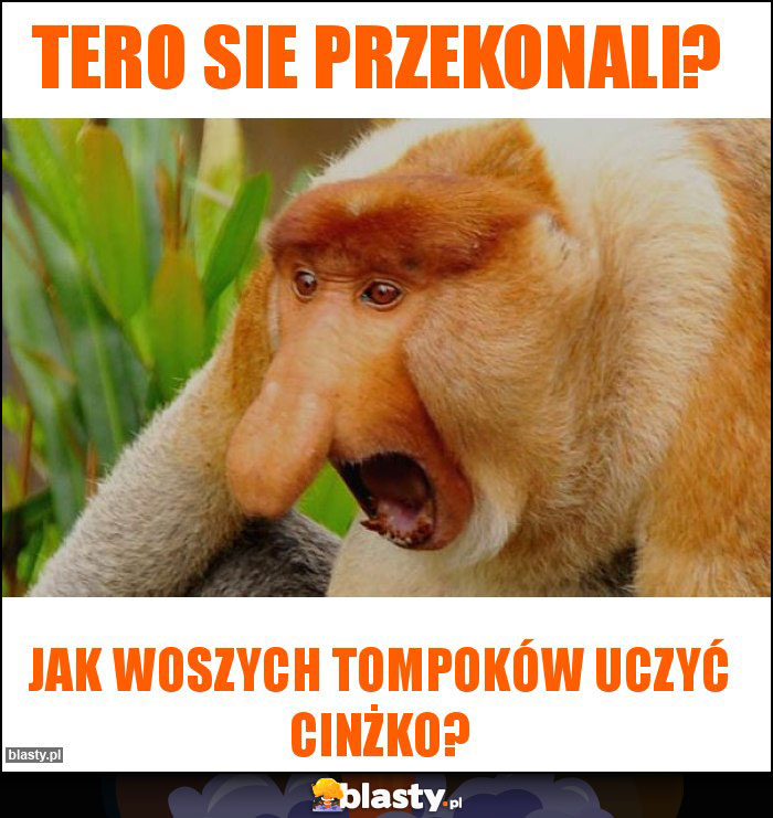 tero sie przekonali?