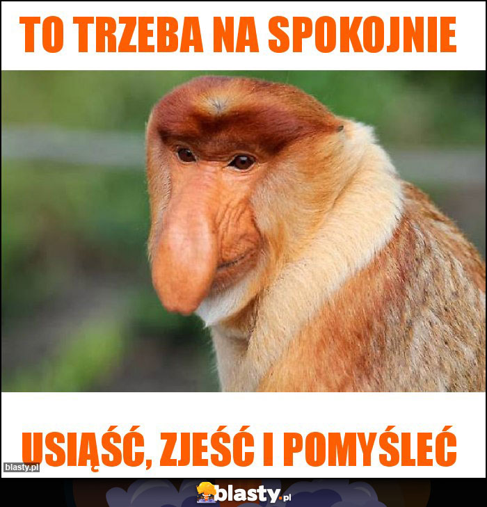 To trzeba na spokojnie