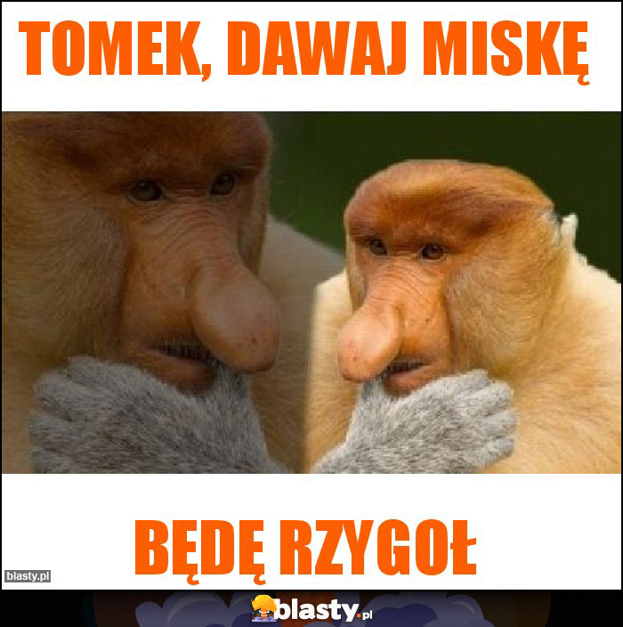 Tomek, Dawaj miskę