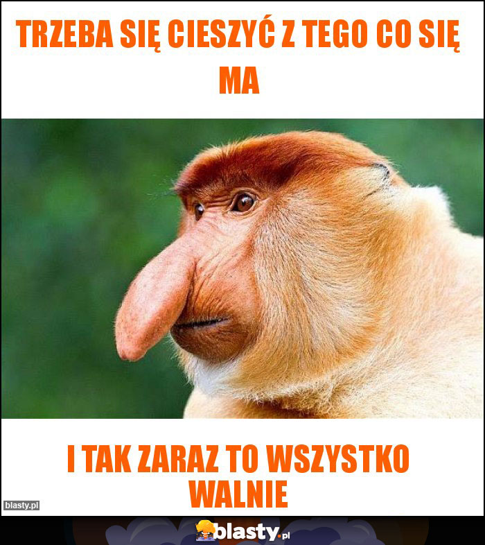 Trzeba się cieszyć z tego co się ma