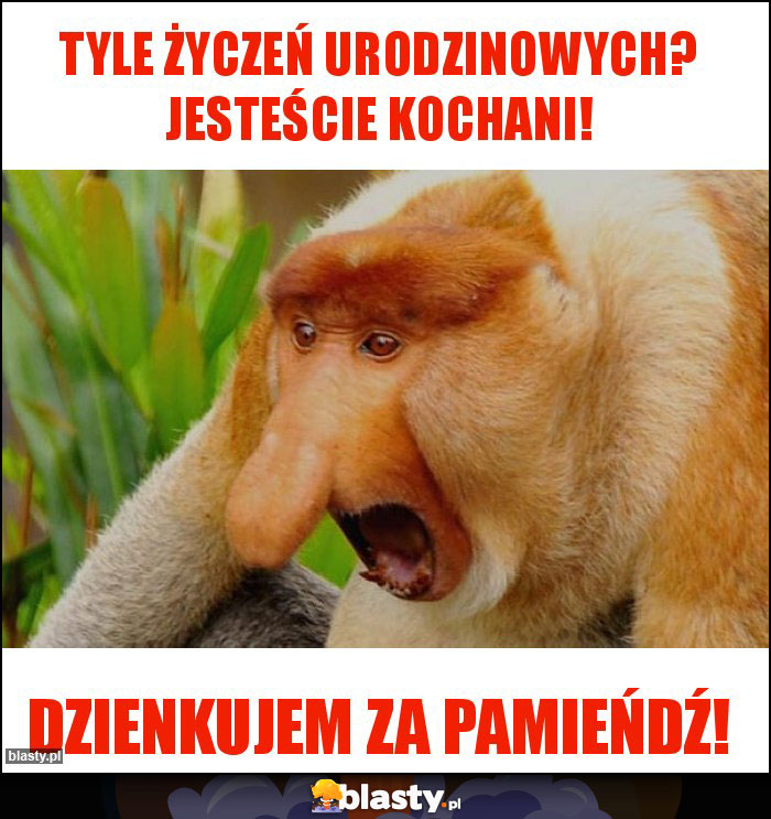 Tyle życzeń urodzinowych? Jesteście Kochani!