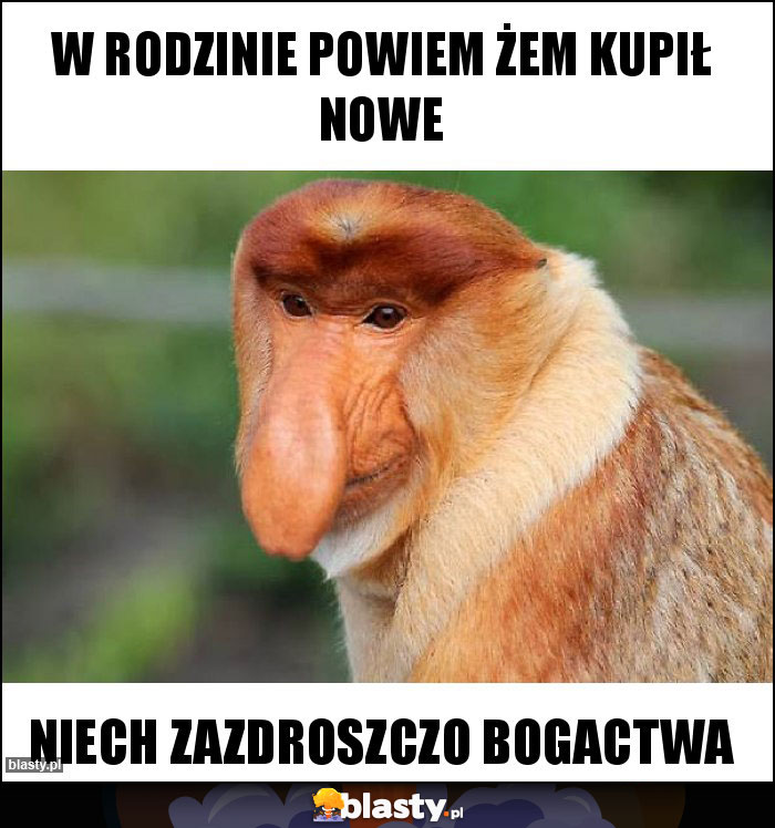 W rodzinie powiem żem kupił nowe