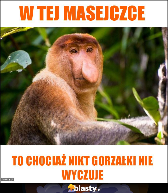 w tej masejczce