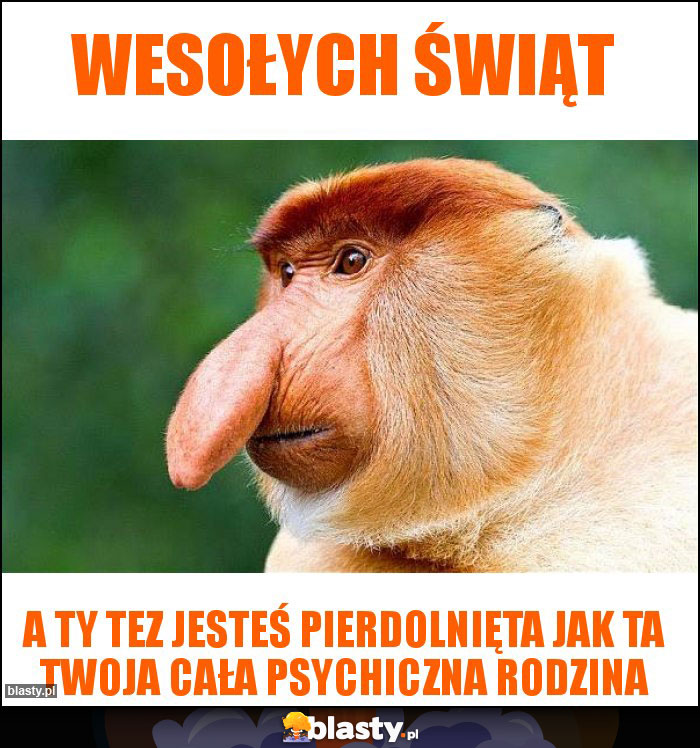 WESOŁYCH ŚWIĄT