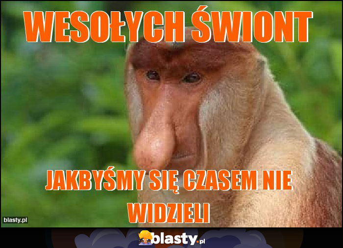 WESOŁYCH ŚWIONT