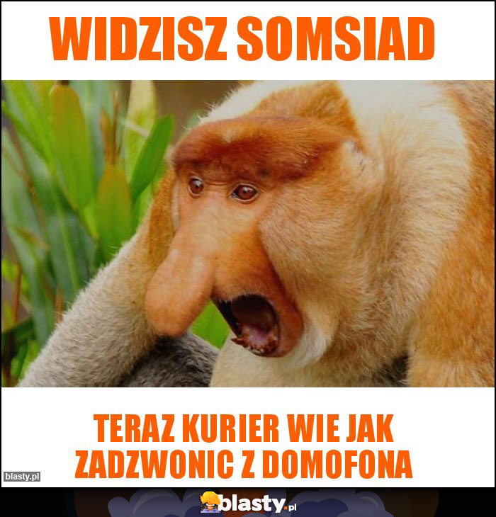 WIDZISZ SOMSIAD