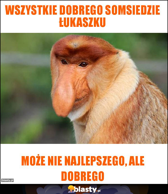 Wszystkie dobrego Somsiedzie Łukaszku