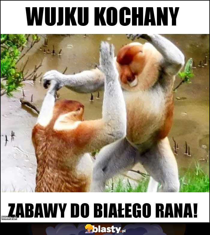 Wujku kochany