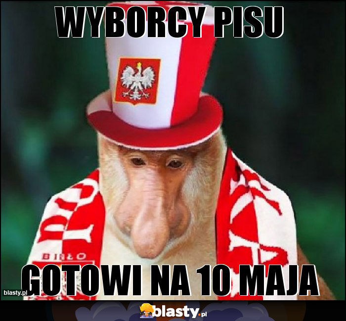 Wyborcy pisu