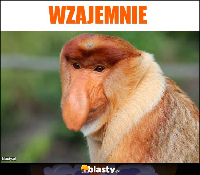 Wzajemnie