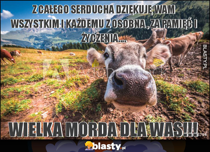 Z CAŁEGO SERDUCHA DZIĘKUJĘ WAM WSZYSTKIM I KAŻDEMU Z OSOBNA , ZA PAMIĘĆ I ŻYCZENIA....