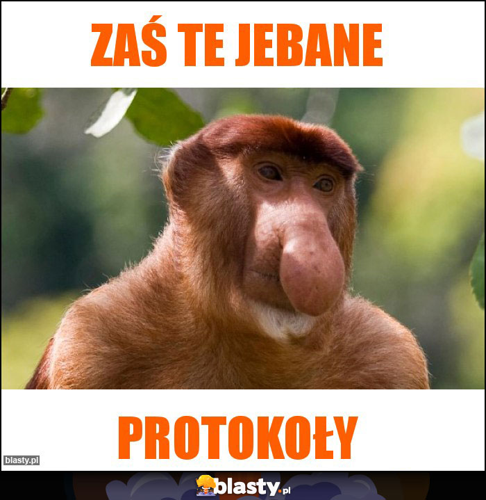 Zaś te jebane