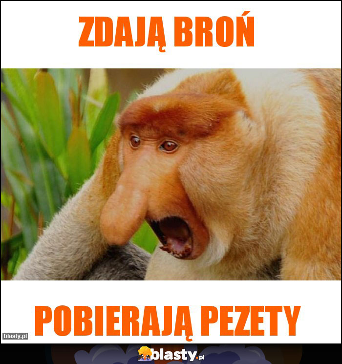 Zdają broń