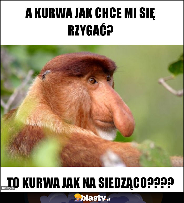 A kurwa jak chce mi się rzygać?