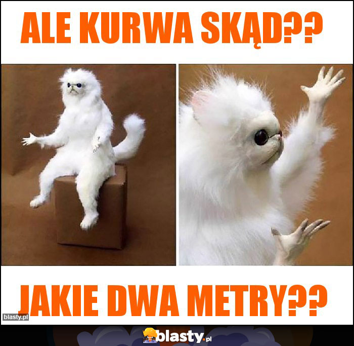 Ale kurwa skąd??