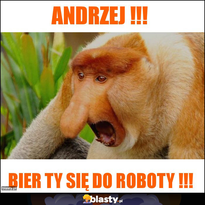 Andrzej !!!