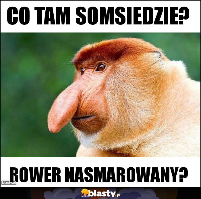 Co tam somsiedzie?