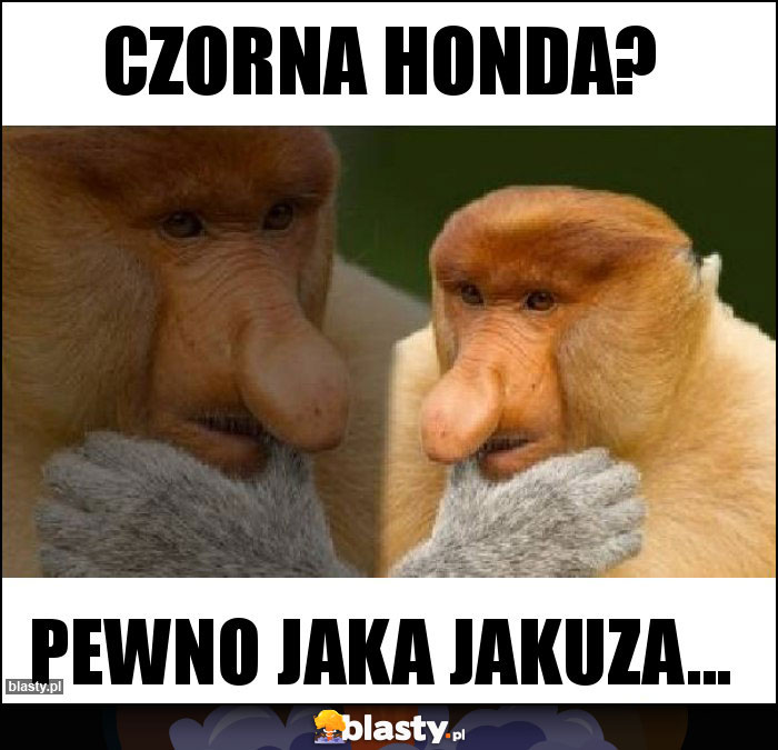 Czorna Honda?