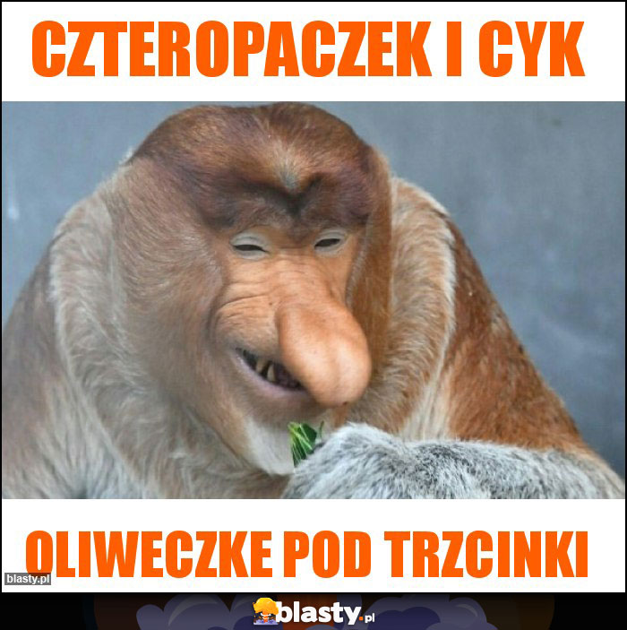 Czteropaczek i cyk