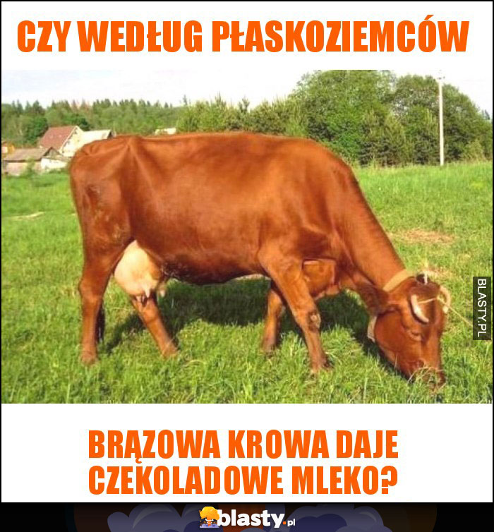 czy według płaskoziemców