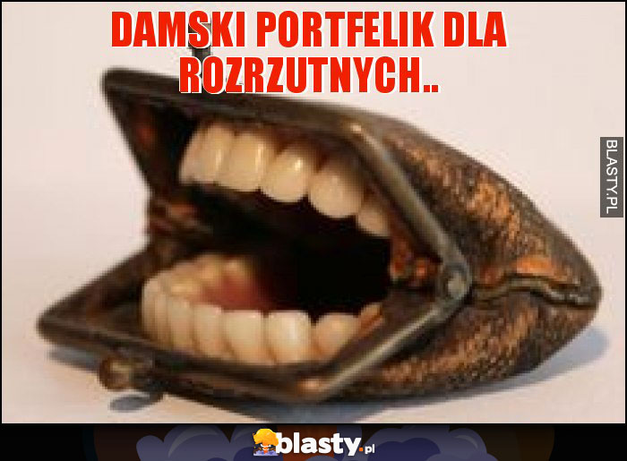 DAMSKI PORTFELIK DLA ROZRZUTNYCH..