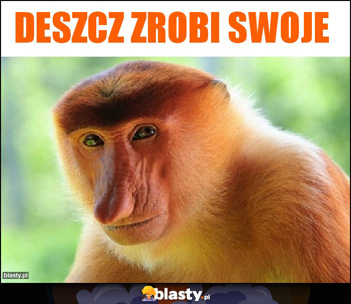 Deszcz zrobi swoje