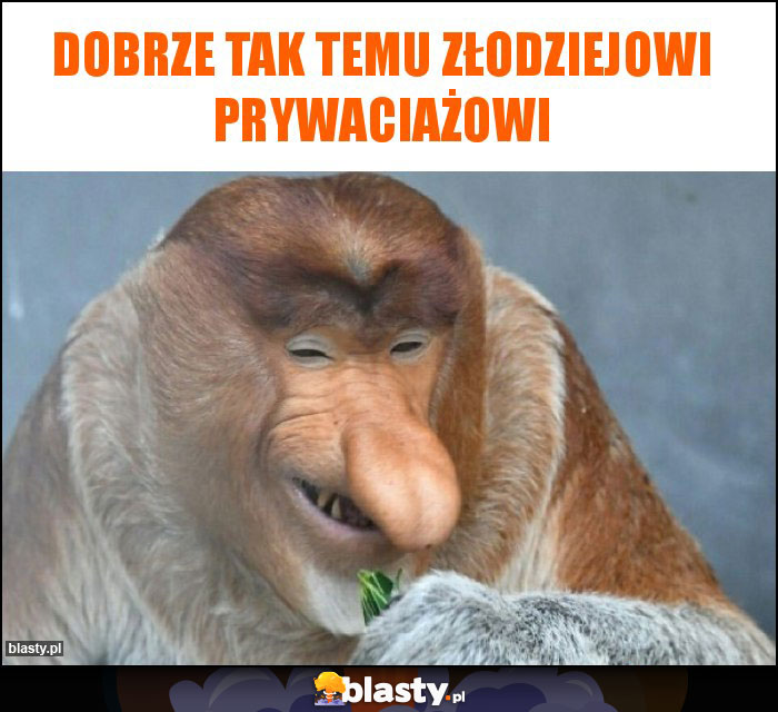 Dobrze tak temu złodziejowi prywaciażowi