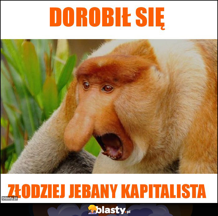 Dorobił się