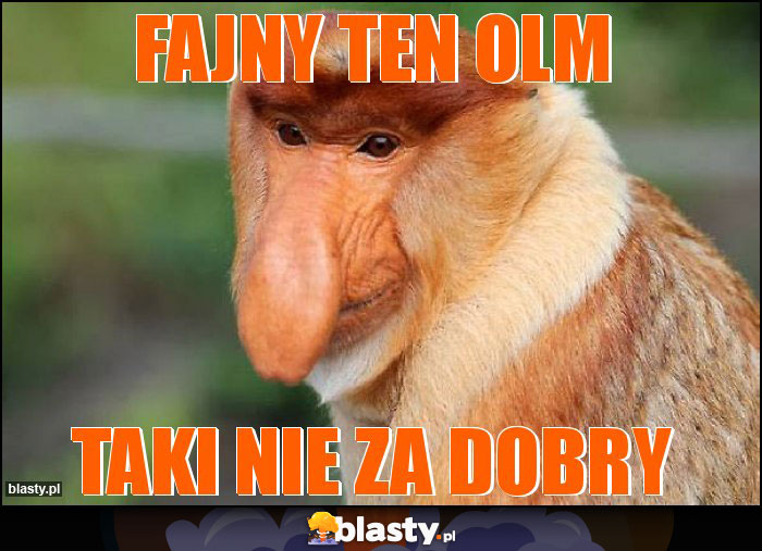 Fajny ten OLM