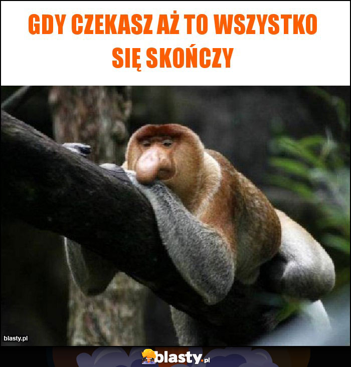 Gdy czekasz aż to wszystko się skończy