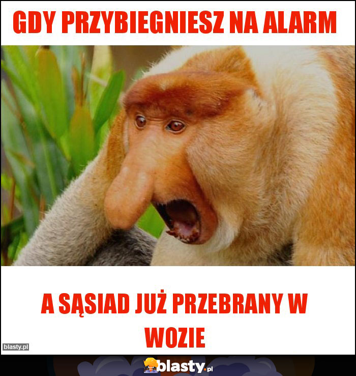 Gdy przybiegniesz na alarm