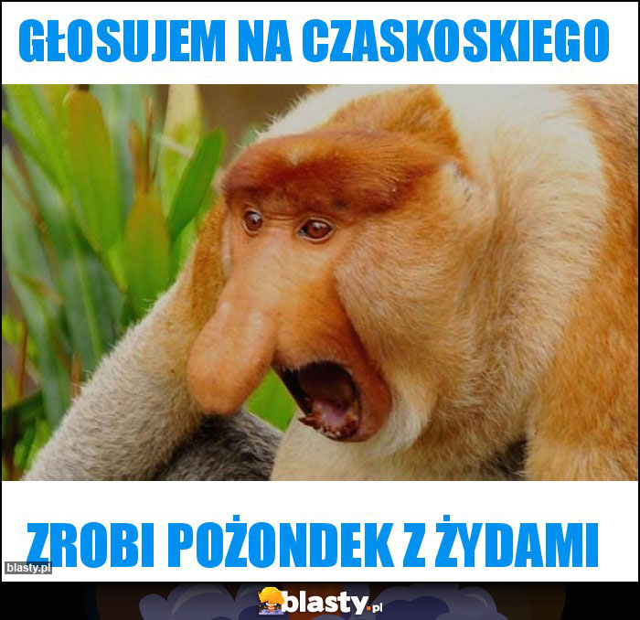 Głosujem na Czaskoskiego