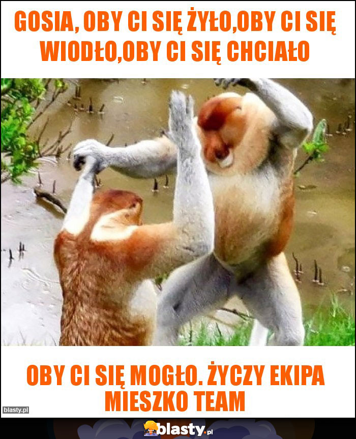 Gosia, Oby Ci się żyło,oby Ci się wiodło,oby Ci się chciało