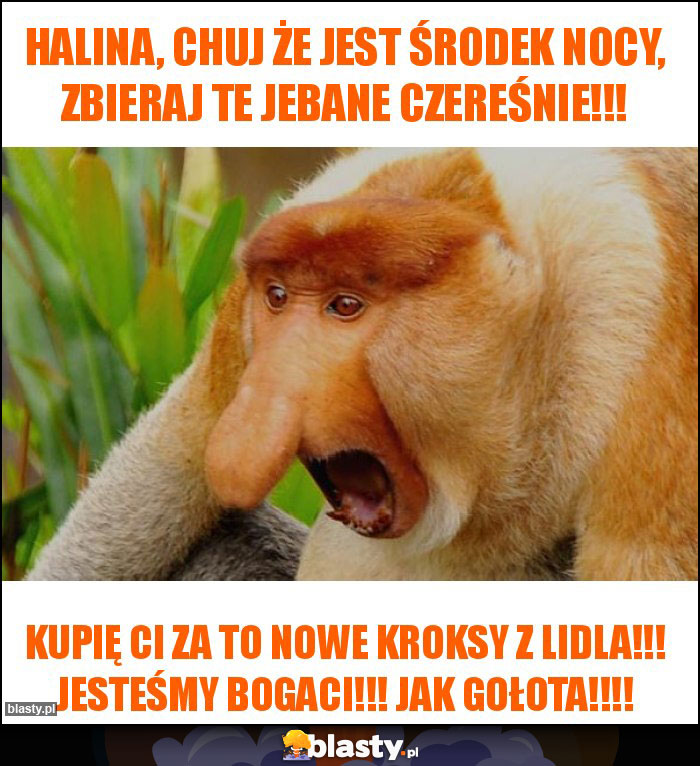 Halina, chuj że jest środek nocy, zbieraj te jebane czereśnie!!!