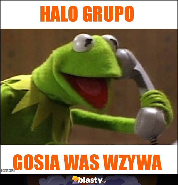 Halo grupo