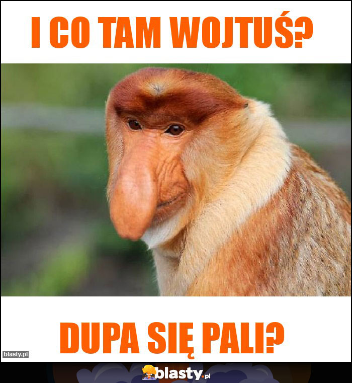 I co tam Wojtuś?