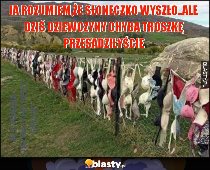 ja rozumiem,że słoneczko wyszło..ale dziś dziewczyny chyba troszkę przesadziłyście