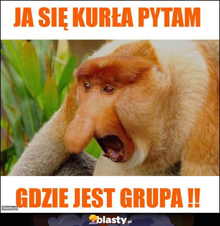 Ja się kurła pytam