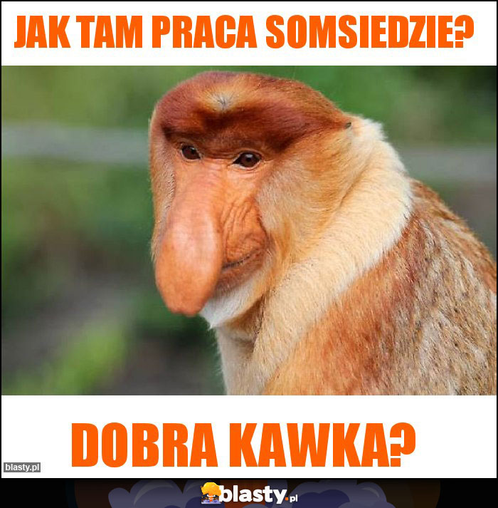 JAK TAM PRACA SOMSIEDZIE?