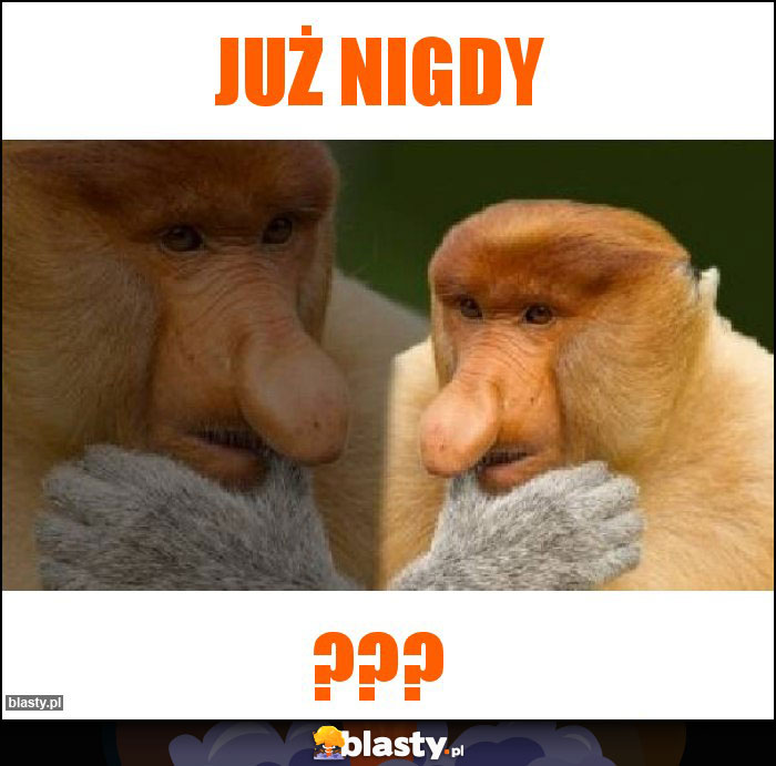 Już nigdy