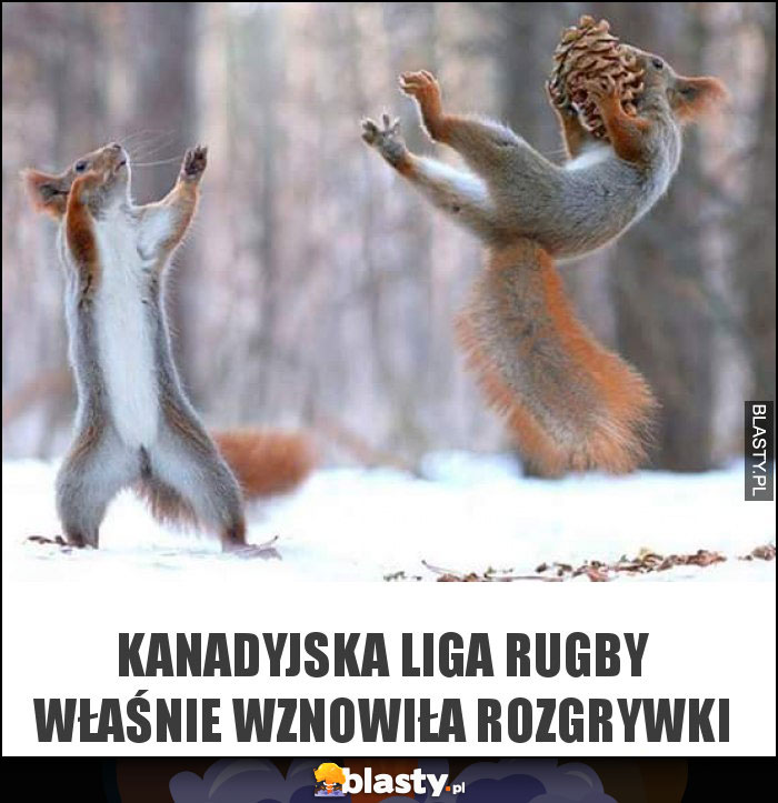 kanadyjska liga rugby właśnie wznowiła rozgrywki