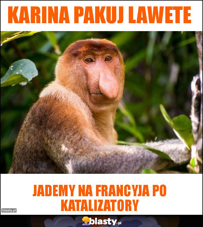 Karina pakuj lawete