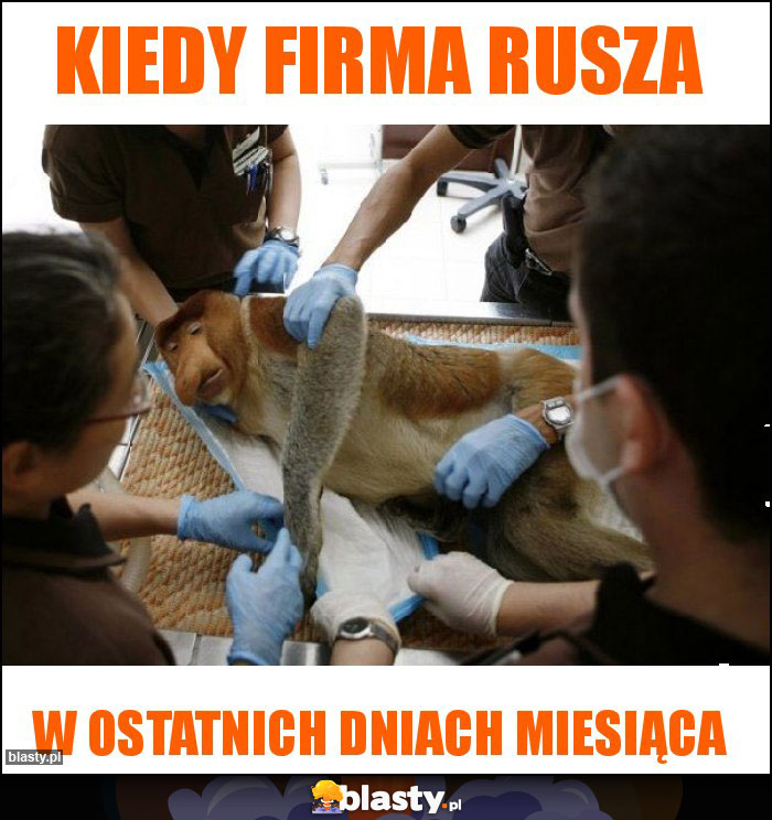 Kiedy firma rusza