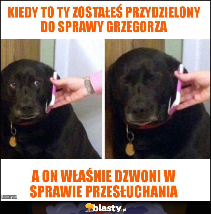 kiedy to ty zostałeś przydzielony do sprawy grzegorza